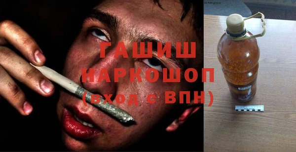шишки Гусев