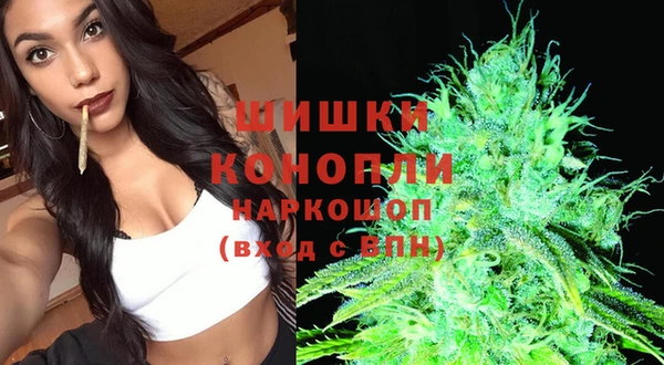 шишки Гусев