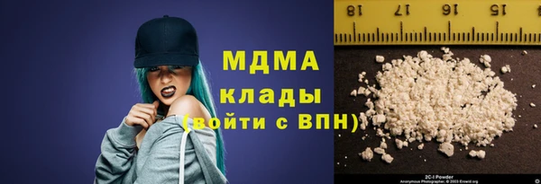 шишки Гусев