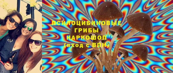 кристаллы Гусь-Хрустальный