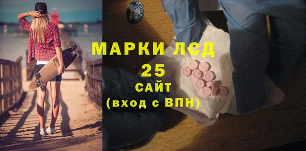 шишки Гусев