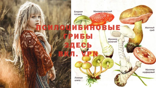 шишки Гусев