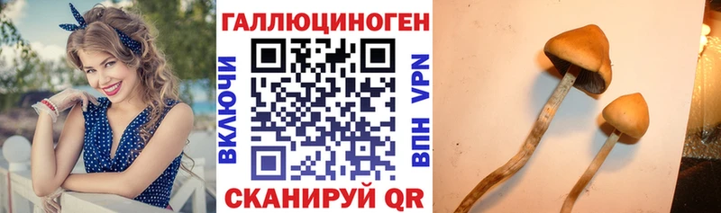 Галлюциногенные грибы мицелий  Дорогобуж 
